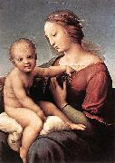 Madonna and Child RAFFAELLO Sanzio